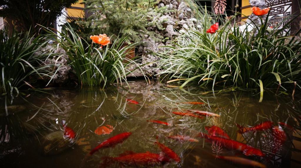 Lijiang Wangjia Courtyard Inn Εξωτερικό φωτογραφία