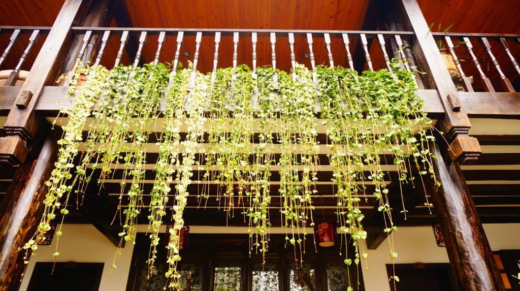 Lijiang Wangjia Courtyard Inn Εξωτερικό φωτογραφία